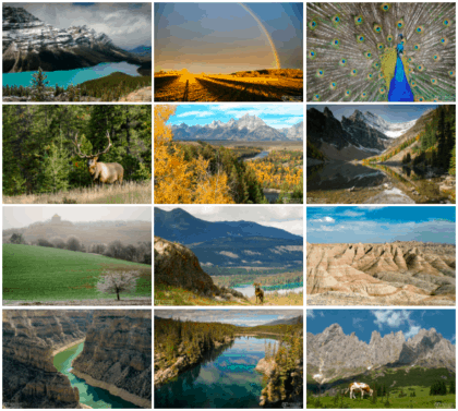 Digital Portfolio Nature Photography - Norbert Woehnl Photography