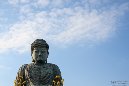 Hyogo Daibutsu, Kobe, Japan Photo