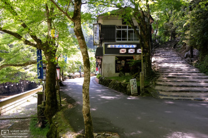 Takao Kanko Hotel, Kyoto, Japan Photo