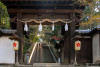 Ascent, Shinonome Jinja, Matsuyama, Shikoku, Japan Photo
