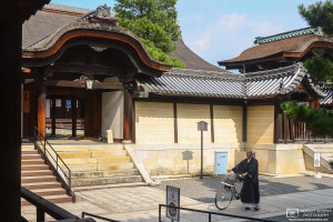Priest with Bicycle, Myoshinji Temple, Kyoto, Japan Photo