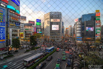 Shibuya Scramble Crossing, Tokyo, Japan Photo