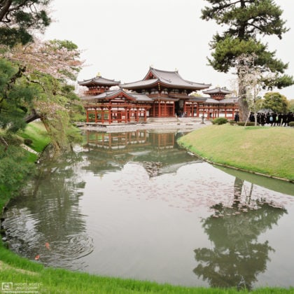 Byodoin Temple, Uji, Japan Photo