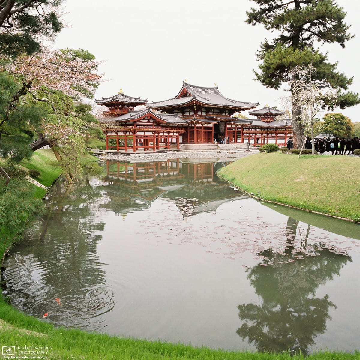 Byodoin Temple, Uji, Japan Photo