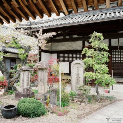 Looking through the Gate, Jotokuji Temple, Nara, Japan Photo