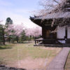 Garden Glimpse, Shingonin Temple, Nara, Japan Photo