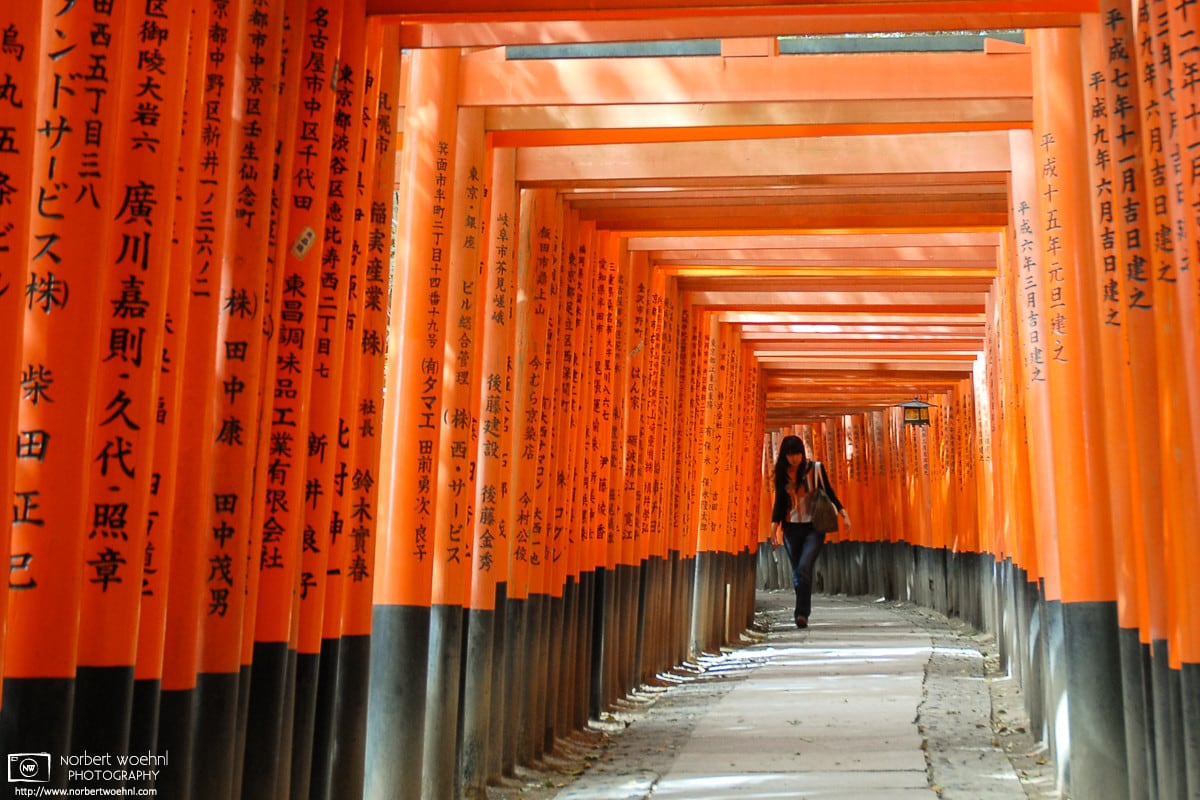 Encounter, Fushimi Inari Taisha, Kyoto, Japan Photo