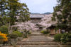A quiet afternoon visit to Tōkōji Temple (東光寺) in the city of Hagi in Yamaguchi Prefecture, Japan.