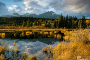 'On Golden Pond', Jasper National Park, Canada Photo