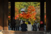 At Nanzenji Temple (南禅寺) in Kyoto, Japan, visitors are seen enjoying autumn colors while sitting in the doorframe of the Sanmon Gate.