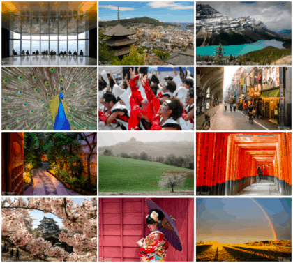 Home Page - Portfolio