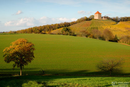An autumn impression from the orchards around Wildeck Castle near the southwest-German village of Abstatt.