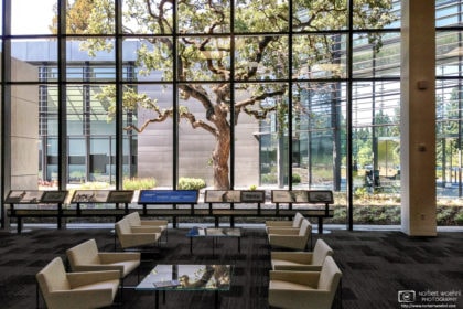 This photo was taken in the lobby of the Executive Briefing Center at Hewlett-Packard Enterprise in Palo Alto, CA.