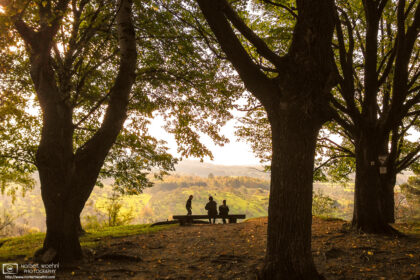 A perfectly placed bench to enjoy the scenic autumn view from Olgahöhe at Mössingen in southwestern Germany.
