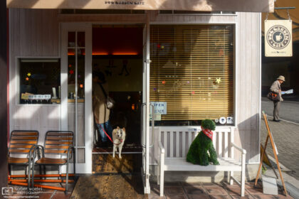 A nice moment from the 'Dog Garden Cafe' at Harborland, a shopping complex in the port area of Kobe, Japan.