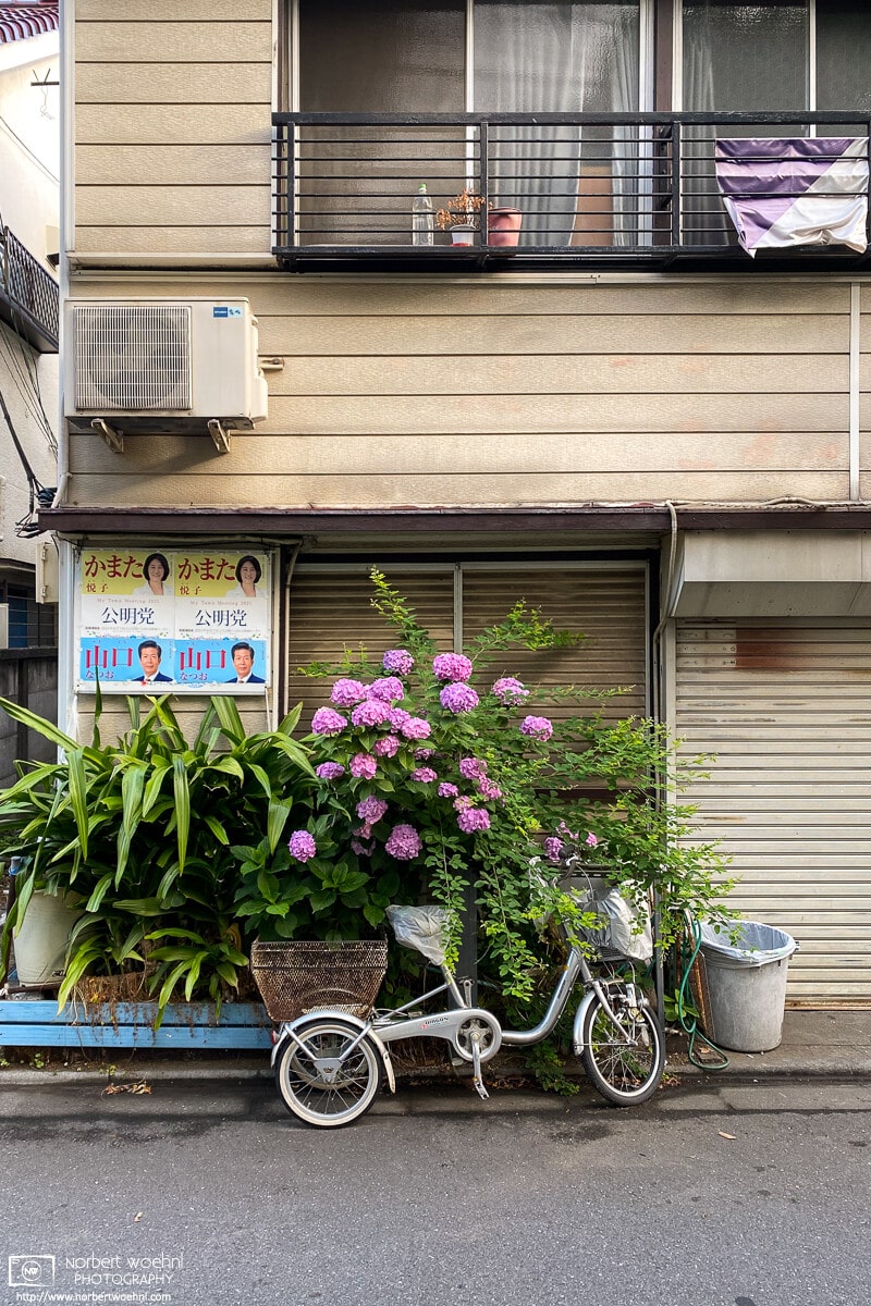 A still life from an early-morning walk around Ohara-cho in Itabashi-ku, Tokyo, Japan.