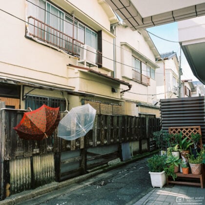 Umbrellas are left outside to dry in a residential area of Nishi-Ogikubo in Tokyo, Japan.