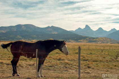 This photo is a rarer view of the Teton Range from the west, which was taken from Teton Scenic Byway (State Route 33) in Idaho en route to Idaho Falls.