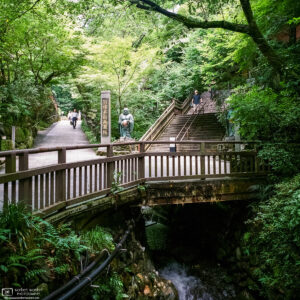 Approaching Nanzoin Temple in Sasaguri, Fukuoka, Japan, on a nice summer day.
