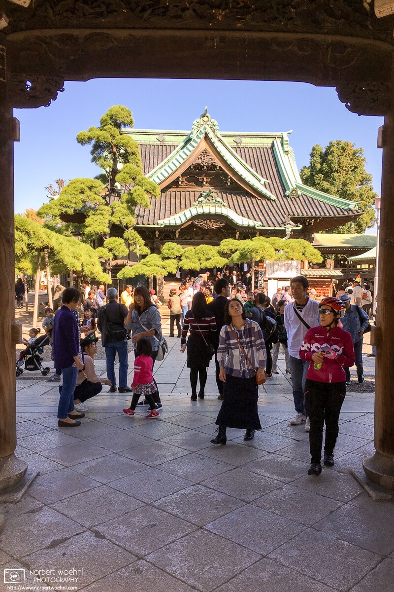 A look through the gate of Shibamata Taishakuten, a Buddhist temple in the Katsushika ward of Tokyo, Japan.