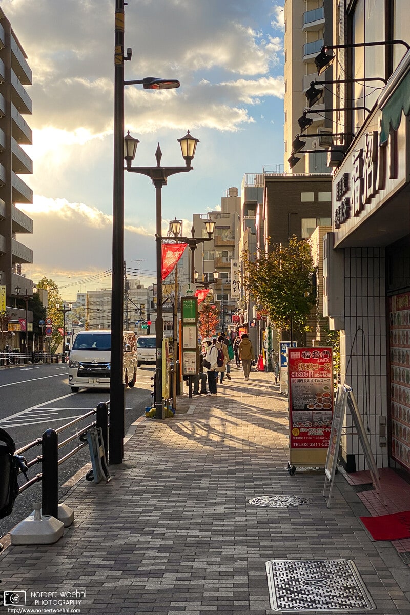 An ordinary scene from Honkomagome in Tokyo, Japan, is made beautiful by autumn afternoon light.